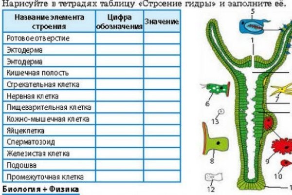 Kraken13 at сайт