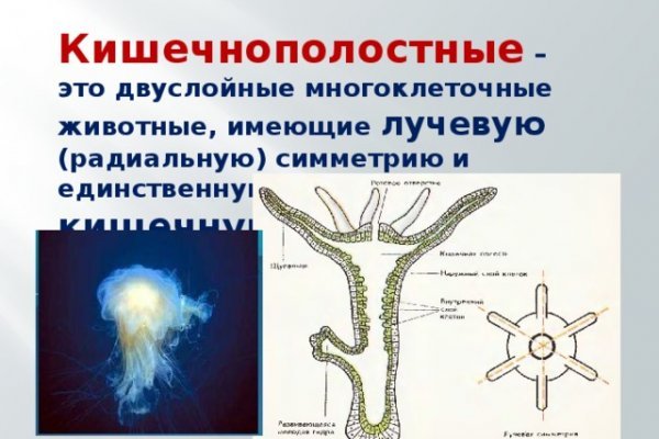 Кракен войти на сайт