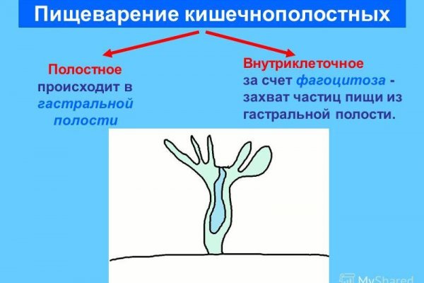 Darknet ссылка кракен kraken014 com