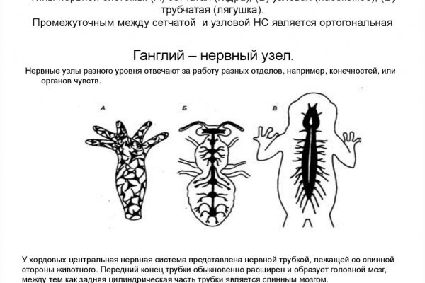 Как найти кракен шоп